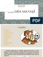Cultura Mayasa