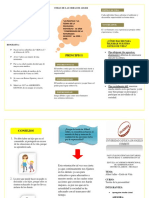 BIOGRAFIA Triptico Teoria de Responsabilidad