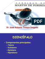 DIENCEFALO tintaya (1)