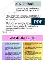 What Are Fungi