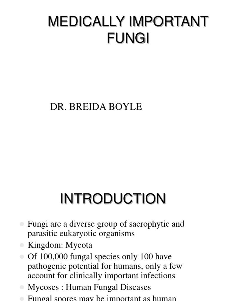 Overview of Medically Important Fungi | PDF | Candidiasis | Microbiology