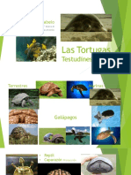 La Tortuga.pptx