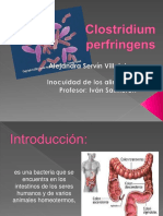 Clostridium perfringens.pptx