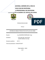 Informe Final de Pollo de Engorde