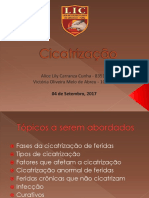 Cicatrização LIC 04-09