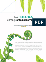 Helechos ORNAMENTALES.pdf