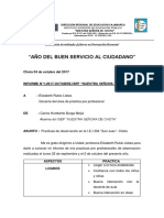 INFORME N°1