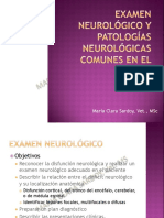 Examen neurologico y patologias comunes en el equino 2013 web.pdf