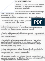 Austenitizacion_3.pdf