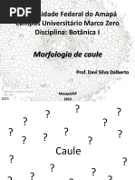 01 Morfologia Vegetal Caule Prova