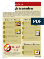 2 - Atenção As Queimaduras PDF