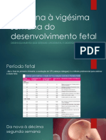 DaNonavigsimasemanadodesenvolvimentofetal_20170311155740