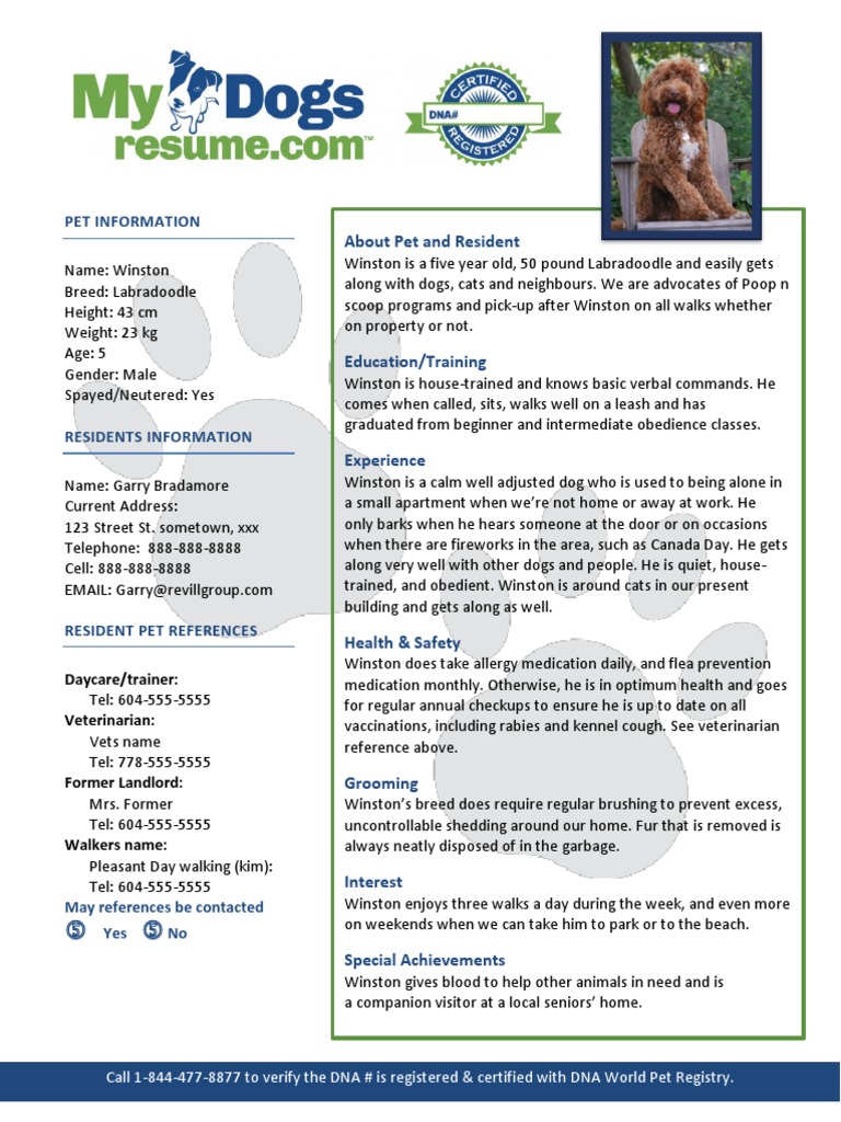 My Dogs Resume PDF Veterinary Physician Dogs