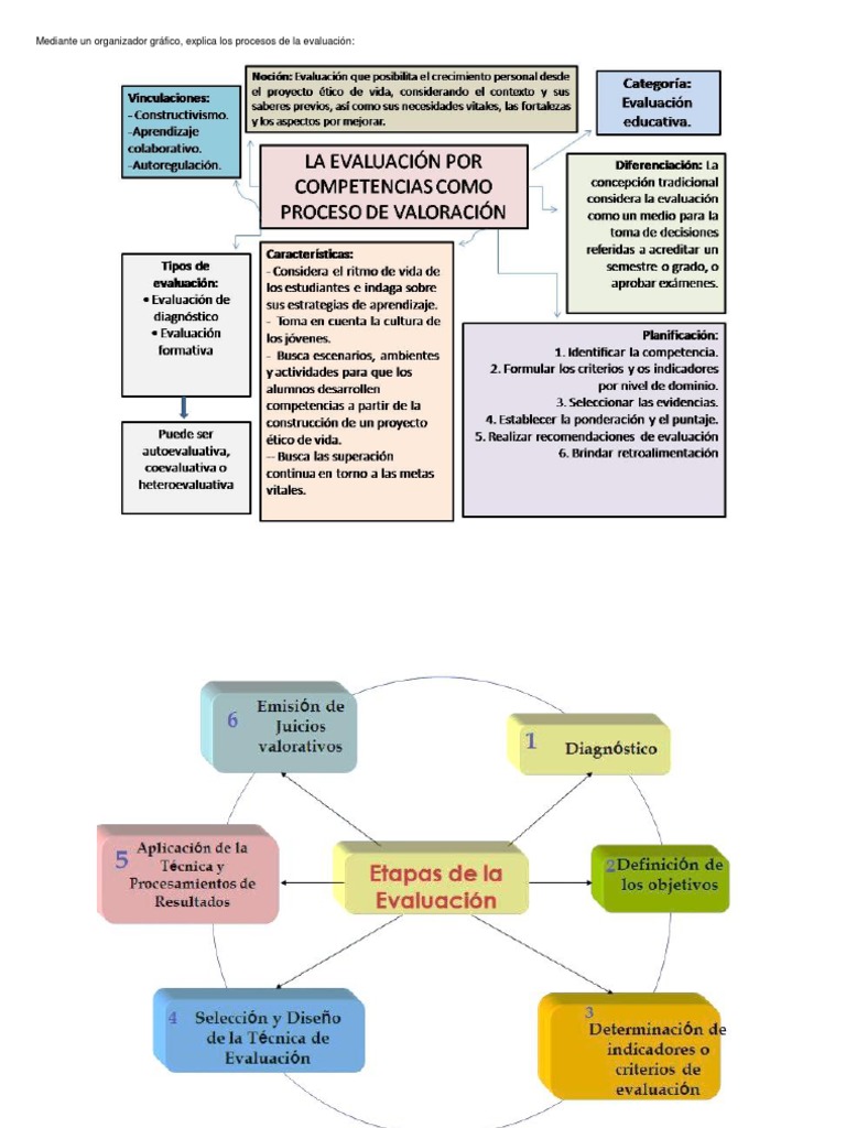 Organizador Gráfico de Los Procesos de La Evaluación.
