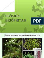 División Briophitas