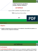 Auxinas PDF