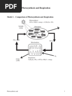 14 Photosynthesis and Respiration-KEY