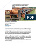 bovinos de carne manejo.pdf