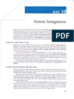 Bab 10 Sistem Integumen PDF