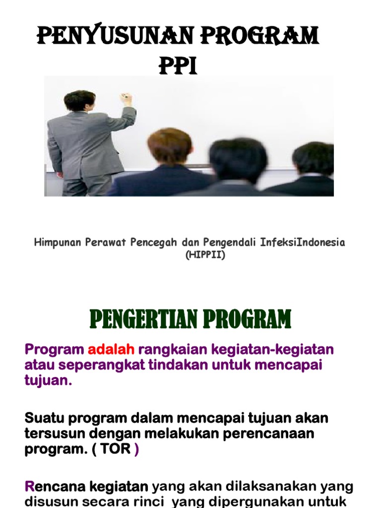 Penyusunan Program PPI di Rumah Sakit | PDF | Bisnis