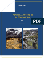 122460340-PUNO-2009.pdf