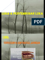 Luka Dan Penyembuhan Luka - PPT RB