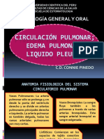 6 Clase - Circulación Pulmonar