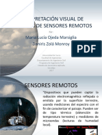 Expo Interpretación Visual de Imágenes de Sensores Remotos PDF