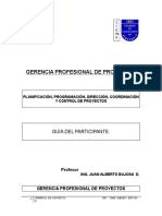 1 Diplomado Gerencia Profesional de Proyectos 2017