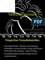 NEMATHELMINTHES