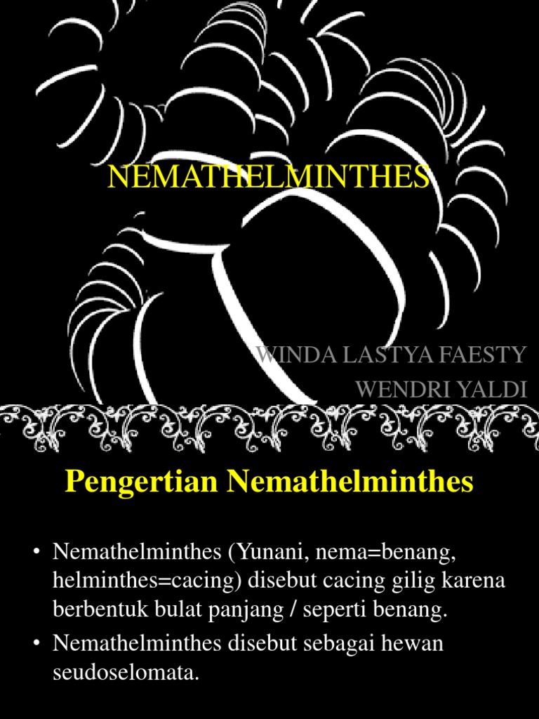 Nemathelminthes