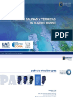 2015 - Plumas Térmicas y Salinas en El Medio Marino