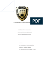 Derechos Fundamentales 