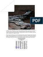 Download The Day The Crocodile Ate Bill Olson by Dale Andersen SN36383729 doc pdf