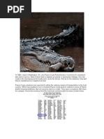 Download The Day The Crocodile Ate Bill Olson by Dale Andersen SN36383729 doc pdf