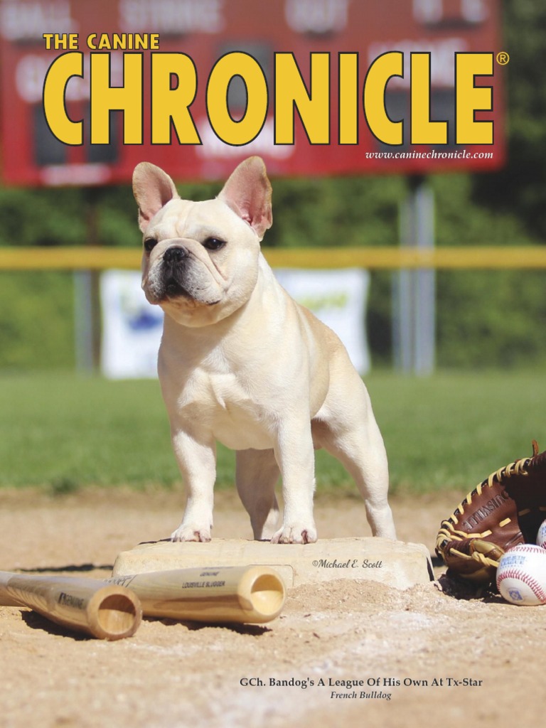 Canine Chronicle PDF Conformation Show American Kennel Club pic picture