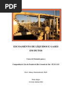 Escoamento de líquidos e gases.pdf
