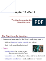Chapter 19 - Part I: The Cardiovascular System: Blood Vessels