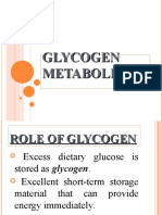2 Glycogen Metabolism