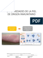 Enfermedades de La Piel de Origen Inmunitario