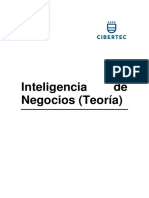 Manual Teoría Inteligencia de Negocios 