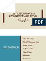 KLP 6 Demam Typoid