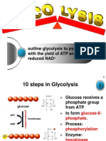 microteaching_glycolysis_tor.ppt