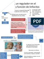 FoxP3 Un Regulador en El Desarrollo y