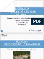 Modulo III Proceso de Gas Natural y Plantas