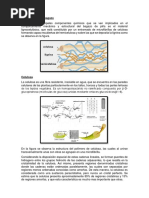 Reycomix Com | PDF