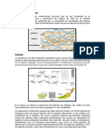 Composición lignocelulósica del bagazo de piña