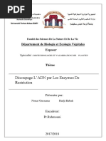 Définition et principe du RFLP | PDF | Réaction en chaîne par ...