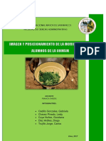 Investigacion Moringa