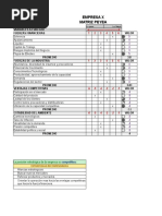 MATRIZ DE LA ESTRATEGIA PRINCIPAL y MCPE | PDF | Matriz (Matemáticas ...